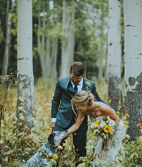ouray -weddings-fall-dogs