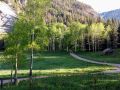 potato-patch-portland-basin-ouray