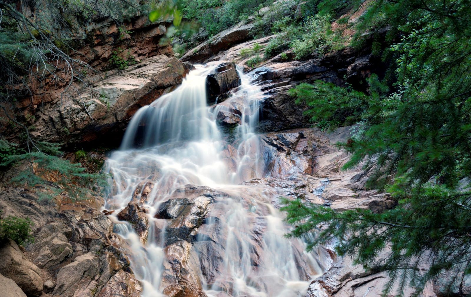 imogene-yellow-rose-ouray-tour