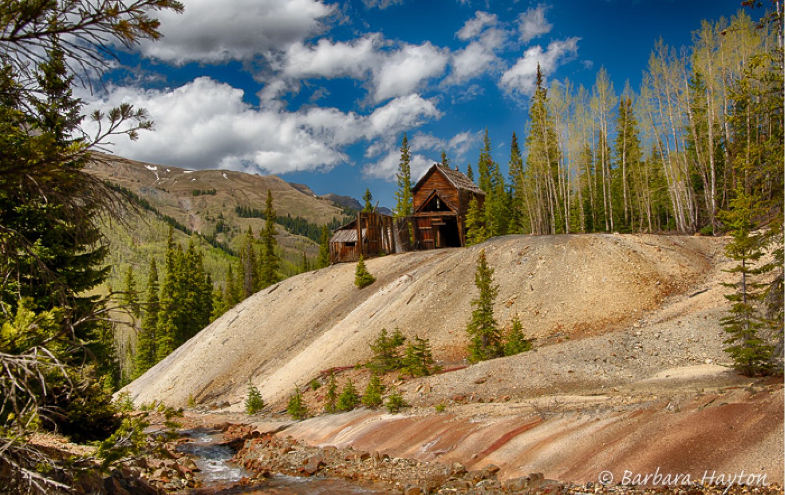 yankee-girl-fall-red-mountain