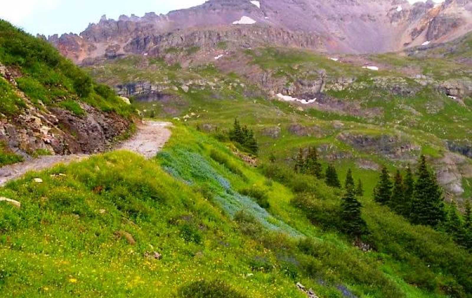 purple-fringe-governor-basin-ouray