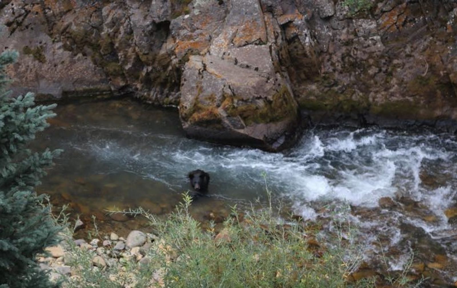 colorado-wildlife-jeep-engineer
